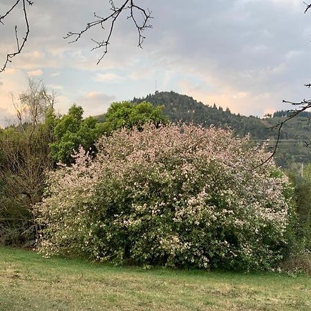 Laragh-On-Hogsback Villa Eksteriør billede