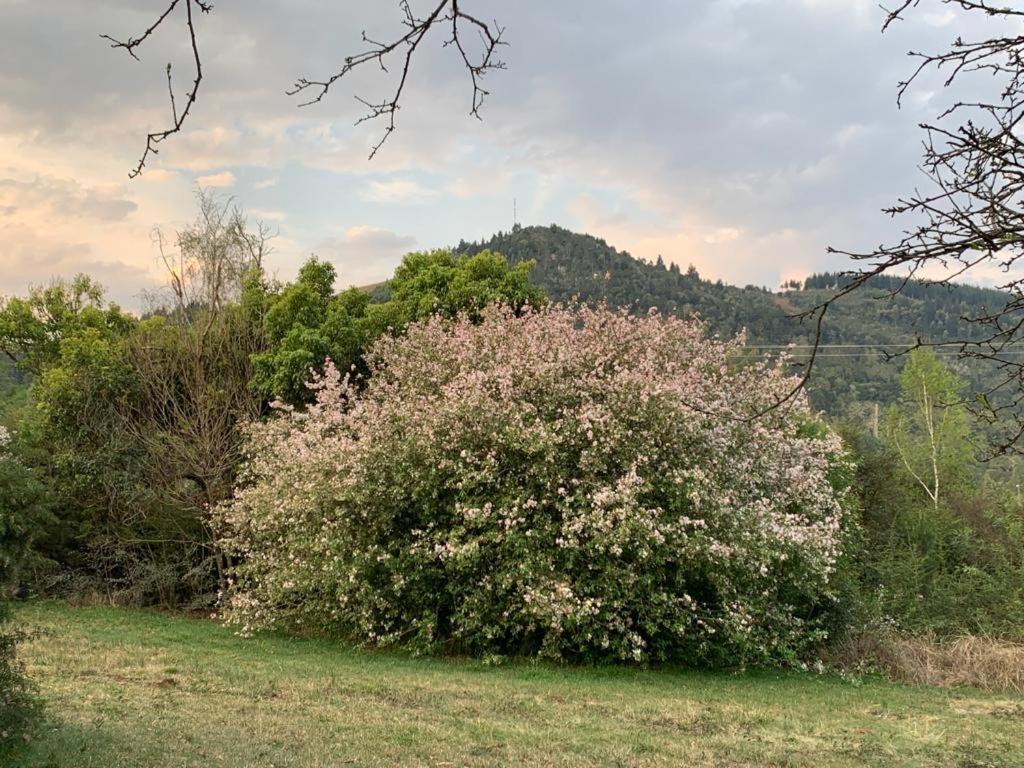 Laragh-On-Hogsback Villa Eksteriør billede