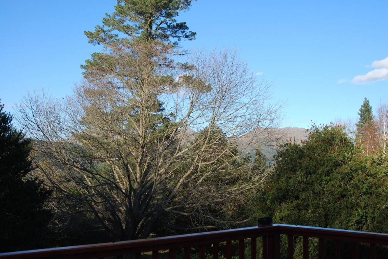 Laragh-On-Hogsback Villa Eksteriør billede