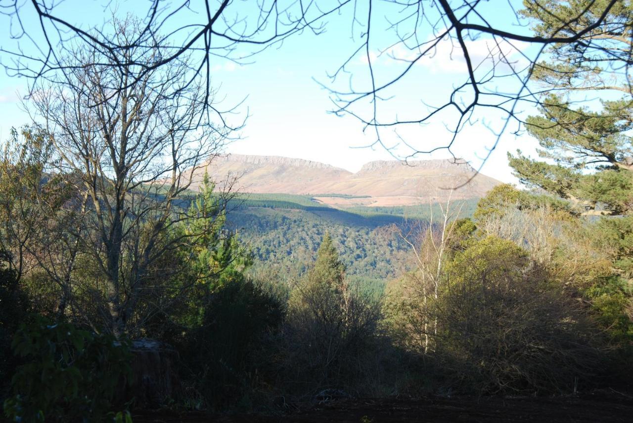 Laragh-On-Hogsback Villa Eksteriør billede